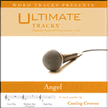 Angel - as made popular by Casting Crowns [Performance Track] [Music Download]