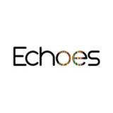 Echoes Sunday School<br>David C Cook