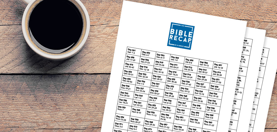 Bible Recap 365 Day Reading Plan Christianbook