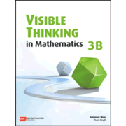 Visible Thinking in Mathematics 3B 2ED
