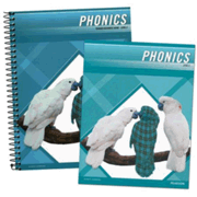 Plaid Phonics Level E Homeschool Bundle (2011  Copyright)