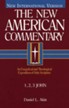 1, 2, & 3 John: New American Commentary [NAC]