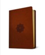 NRSV Baylor Annotated Study Bible--imitation leather, chestnut brown