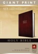 Holy Bible, Giant Print NLT, Hardcover