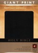 NLT Holy Bible, Giant Print Black Bonded Leather, Thumb-Indexed