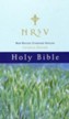 New Revised Standard Version Catholic Edition Holy Bible: NRSV
