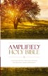 Amplified Holy Bible, softcover