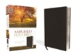 Amplified Thinline Holy Bible--bonded leather, black