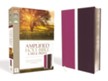 Amplified Large-Print Bible Soft Leather-Look Dark Orchid/Deep Plum