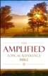 The Amplified Topical Reference Bible, Hardcover