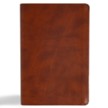 CSB Oswald Chambers Bible--soft leather-look, saddle