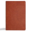 CSB Giant Print Reference Bible, Digital Study Edition--soft leather-look, burnt sienna (indexed)