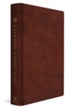 ESV Everyday Gospel Bible--soft leather-look, chestnut