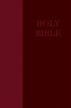 NRSV Large Print Bible - imitation leather, burgundy
