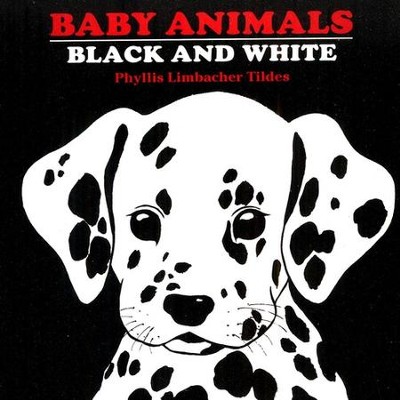Baby Animals Black and White Board Book   -     By: Phyllis Limbacher Tildes
