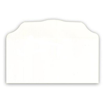 Bill Size Blank Envelopes, White, 100                  - 