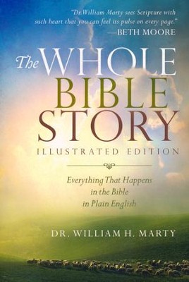 The Whole Bible Story Illustrated Edition Everything That Happens In The Bible In Plain English Slightly Imperfect - 