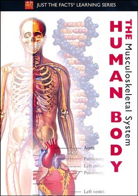 The Human Body: Musculoskeletal DVD  - 