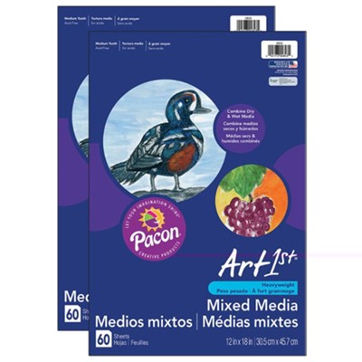 Art1St Multi Media Art Paper, Heavyweight, 12 x 8 60 sheets per pack -- pack of 2  - 