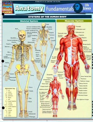 Anatomy Fundamentals: Life Science, Laminated Guide: Vincent Perez ...