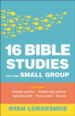 16 Bible Studies for Your Small Group  -     By: Ryan Lokkesmoe
