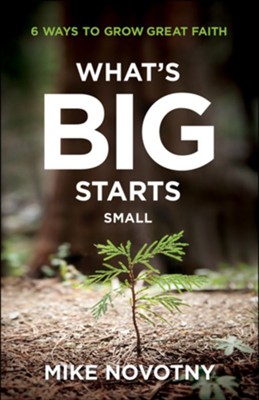 What's Big Starts Small: 6 Ways to Grow Great Faith  -     By: Mike Novotny
