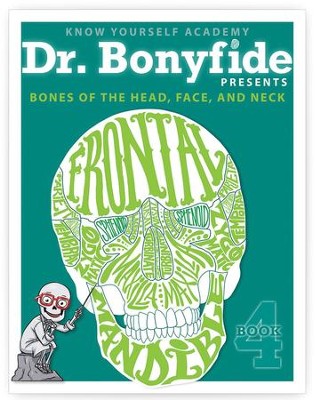 Bones of the head and neck Essays