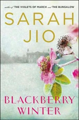 Blackberry Winter: A Novel   -     By: Sarah Joi
