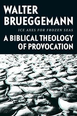 Ice Axes for Frozen Seas: A Biblical Theology of Provocation  -     By: Walter Brueggemann, Davis Hankins
