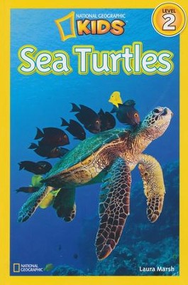 Sea Turtle Book for Kids Brings Awareness and Heart - 30A