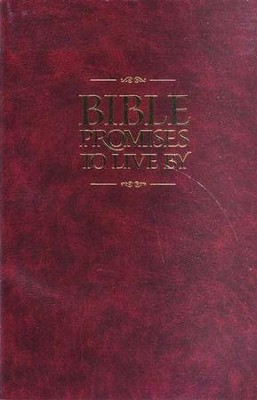Bible Promises to Live By - NLT Edition  -     By: Amy E. Mason, Ronald A. Beers
