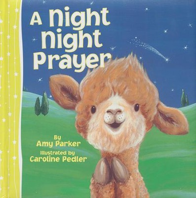 A Night Night Prayer  -     By: Amy Parker
