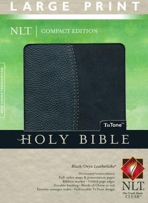 what color is onyx in the bible