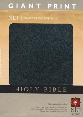 holy bible nlt audio genesis