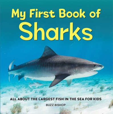 My First Book of Sharks: All About the Largest Fish in the Sea for Kids ...