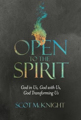 Open to the Spirit: God in Us, God with Us, God Transforming Us  -     By: Scot McKnight
