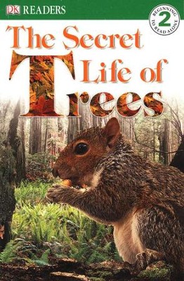 the tree book inside the secret life of trees
