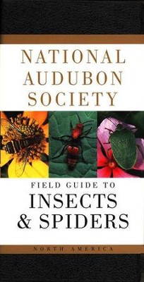 National Audubon Society Field Guide to North American Insects and Spiders  -     By: Lorus Milne, Susan Rayfield, Margery Milne
