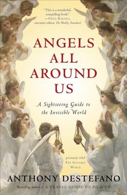 Angels All Around Us: A Sightseeing Guide to the Invisible World  -     By: Anthony DeStefano
