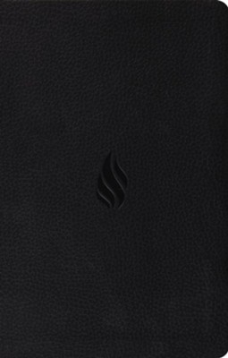 ESV Premium Gift Bible, Imitation Leather, Black w/ Flame Design    - 
