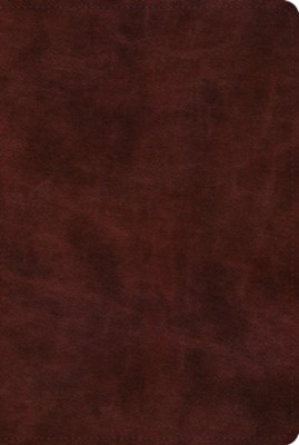 ESV Bible with Creeds and Confessions--soft leather-look, burgundy   - 