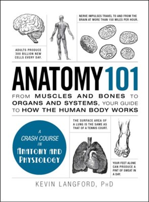 Anatomy 101  -     By: Kevin Langforterrd
