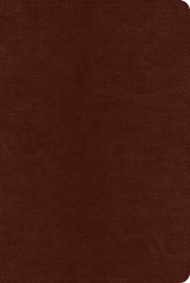 ESV Systematic Theology Study Bible--imitation leather, chestnut: David ...