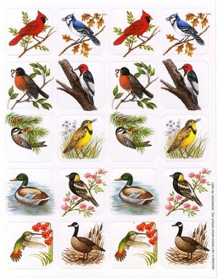 Birds  - 