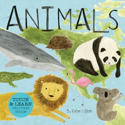 Animals: Discovery Concepts  -     Illustrated By: Katie Wilson
