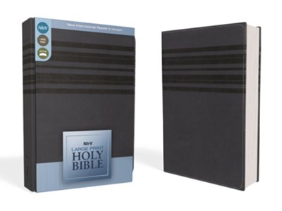 NIrV Holy Bible, Large Print, Italian Duo-Tone, Slate Blue  - 
