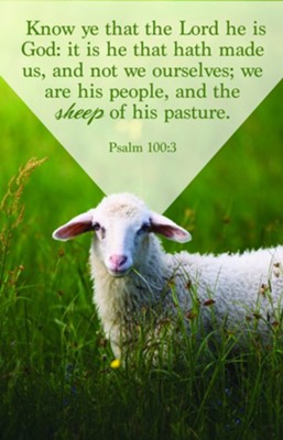 The Sheep of His Pasture (Psalm 100:3) Bulletins, 100: 9781087711331 ...