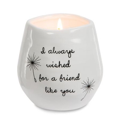 I Always Wished for a Friend Like You Soy Candle  - 