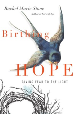 Birthing Hope: Giving Fear to the Light  -     By: Rachel Marie Stone

