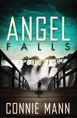 Angel Falls - eBook  -     By: Connie Mann
